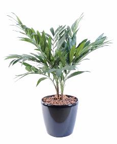 Palmier artificiel Parlour en pot - plante synthtique d'intrieur - H.65cm