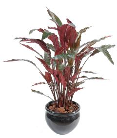 Plante artificielle Calathea - dcoration d'intrieur - H.85cm vert rouge