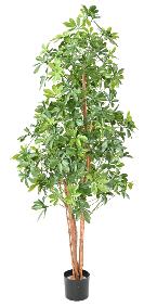 Plante artificielle Choisya Tree Plast UV - intrieur extrieur - H.180cm