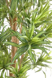 Plante artificielle Dracaena Reflexa - décoration d'intérieur - H.110cm vert