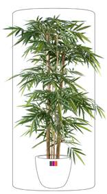 Bambou artificiel New grosses cannes - intérieur - H. 210cm vert