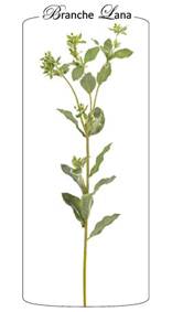 Feuillage artificiel Branche Lana - composition florale - H.85cm vert