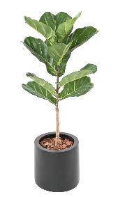 Arbre artificiel Ficus Lyrata - plante semi-naturelle d'intrieur - H.75cm vert