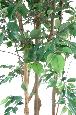 Arbre artificiel Ficus Natasja multi-troncs - plante synthétique intérieur - H.180cm