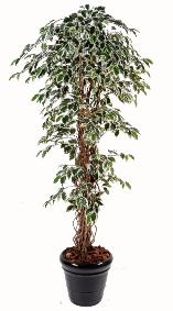 Arbre artificiel Ficus lianes grandes feuilles - plante d'intrieur - H.150cm vert/crme