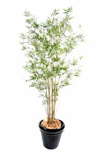 Bambou artificiel Oriental new - plante d'intérieur - H.220 cm