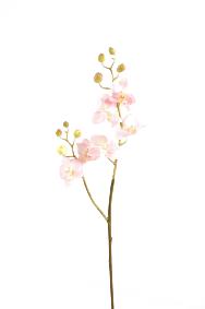 Fleur artificielle Orchide Phalaenopsis 7 fleurs - Fresh Touch - H.70 cm rose
