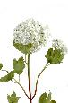 Fleur artificielle Viburnum Boule de neige - composition bouquet - H.70cm blanc
