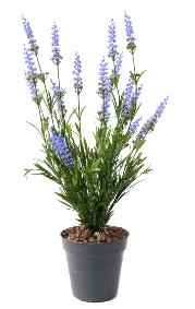 Plante fleurie artificielle Lavande en piquet - intrieur extrieur - H.52cm