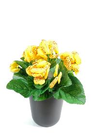 Plante artificielle fleurie Calcolaire - Plante synthtique - H.30 cm jaune
