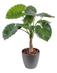 Plante artificielle tropicale Alocasia - dcoration d'intrieur - H.80cm