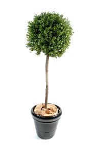 Plante artificielle Buis tige boule - intrieur extrieur - H.140cm vert